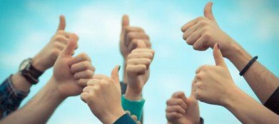 customer reviews